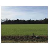 14.12 Acres Burnett Rd