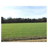 16.81 Acres Burnett Rd
