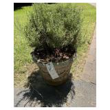 GROUP OF DECORATIVE PLANTERS, COMPOSITE MATERIAL,