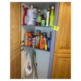 CONTETNS OF CABINET, LARGE GROUP OF CLEANING SUPPL