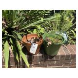 GROUP OF PLANTERS AND FLOWER POTS