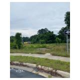 0.17 Acres N Williams St