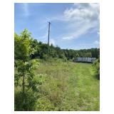 1.15 Acres N Williams St
