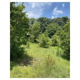 0.49 Acres Summerlin Dr