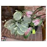 GROUP OF ARTIFICIAL PLANTS