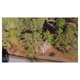 10.06 Acres