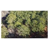 0.62 Acres