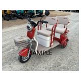 New Unused 2026 Electric Tricycle IRGC40 MINI GOLF