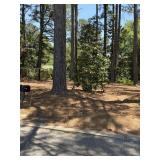 0.42 Acre Lot in Lansdowne Neighborhood Dunn