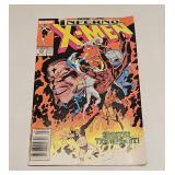 MARVEL COMICS THE UNCANNY X-MEN #243