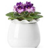 Fayoula Self Watering Plant Pot 6'