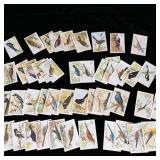 Over 60 Arm & Hammer Useful Birds of America 8th >