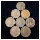 (8) Indian Head Pennies