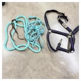 Purple weaver halter with blue green lead rope