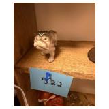 Vtg Ceramic Bulldog Figurine Japan