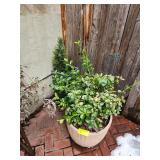 LOT ASSORTED PLANTERS