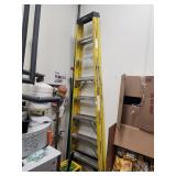 8' LADDER
