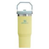 Stanley IceFlow Stainless Steel Tumbler - Vacuum I