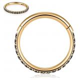 $12 FUNLMO 20G 18G 16G 12G Nose Ring Hoop Conch Ro