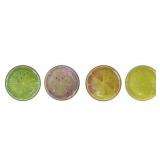 Modern Expressions Citrus Melamine Plates - 4.0 ea