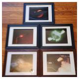 5 Rare Electrical Photo Prints