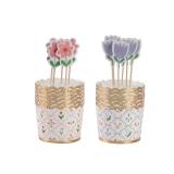 Cook With Color Cupcake Kit: Spring/Summer