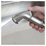 Danco Kitchen Sink Spray: Brushed Nickel
