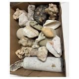 Fossile Geode And Rock Collection