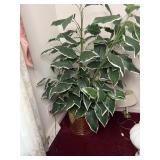 Brass planter and fake tree