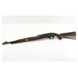 Remington Nylon 66 .22 LR