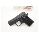 Springfield Armory 911 .380 Auto