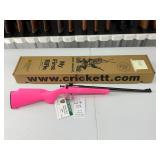 Keystone State Armory Crickett 22LR
