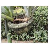 Concrete Cast Planter Grape Motiff