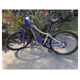 24' Hot Rock Specialized Bike