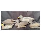 Duck Decoys