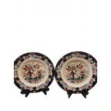 S S Albion Crown Patent Ironstone China Plates