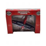 Anheuser-Busch Die Cast Airplane Bank