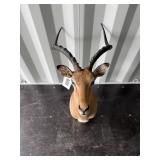 Impala mount