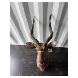 Nyala mount