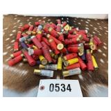 Mixed lot of .20 ga and .12 ga shotgun shells