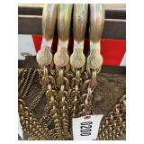 2-20' 5/16 G80 chains.