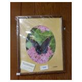 Richard Arnold Butterfly Photograph