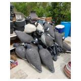 Goose Decoys