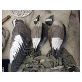Plastic Goose Decoys (23)
