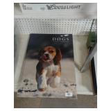 Clare Dog Picture Book