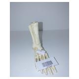 Cast Iron Skeleton Foot Pencil Holder