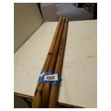 Canes (3)