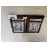 Mounted Randall Cunningham & Tony Gonzalez