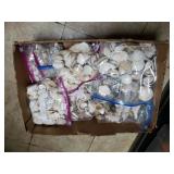 Box Of Shells