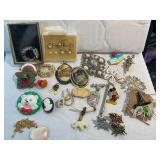 Costume Jewelry - Mostly Pins